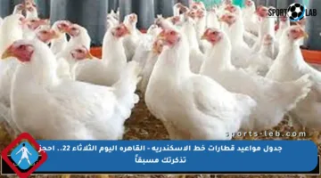 جدول مواعيد قطارات خط الإسكندرية – القاهرة اليوم الثلاثاء 22.. احجز تذكرتك مسبقاً